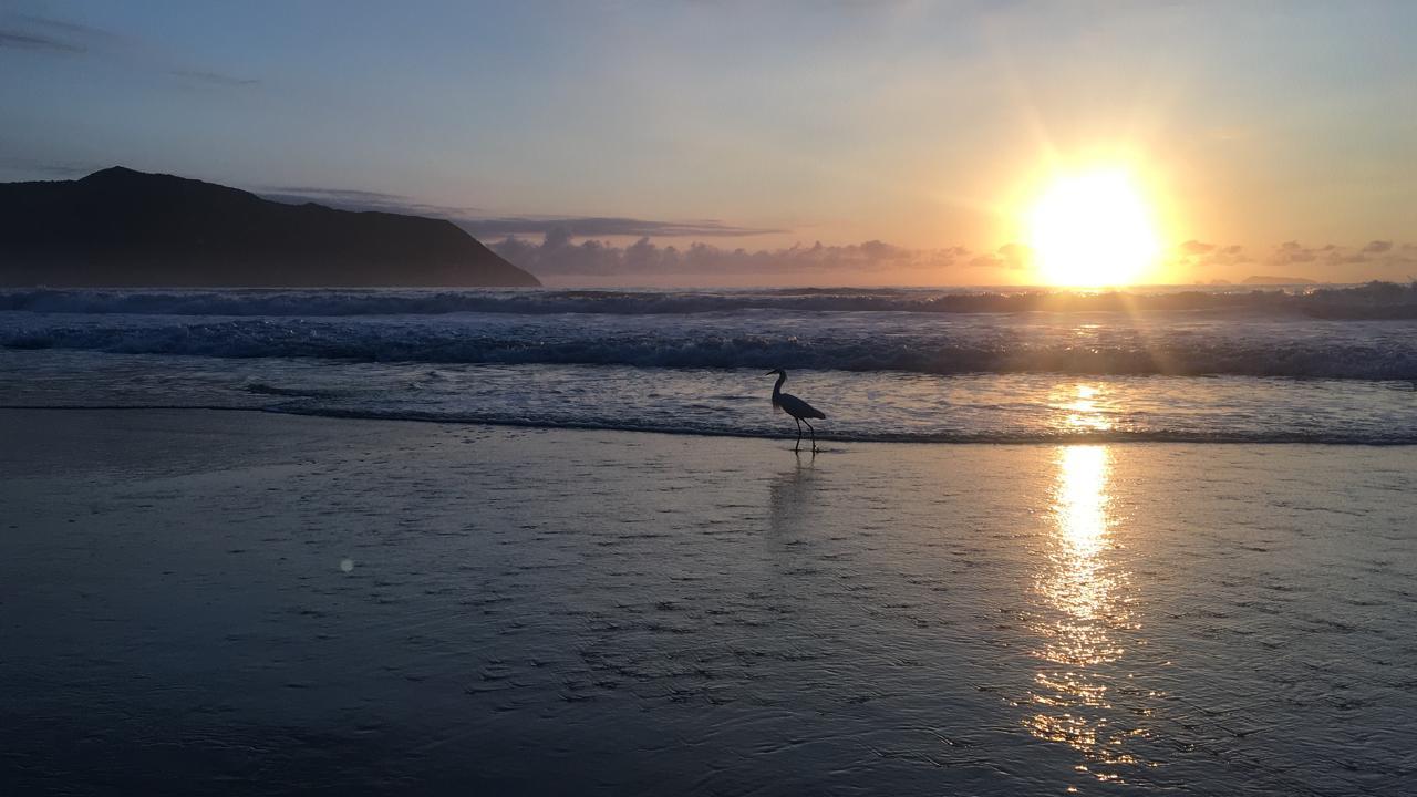 Prédio Inteiro, 304 m² - Foto 6